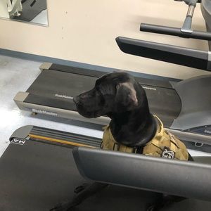 Meet your Posher, Nathan